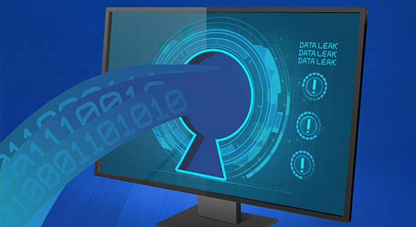 What to Do If Your Data Is Included in a Leak