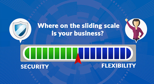 Security or Flexibility: Which Matters More?