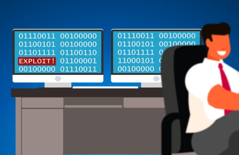Neglected Software Vulnerabilities and Their Costs
