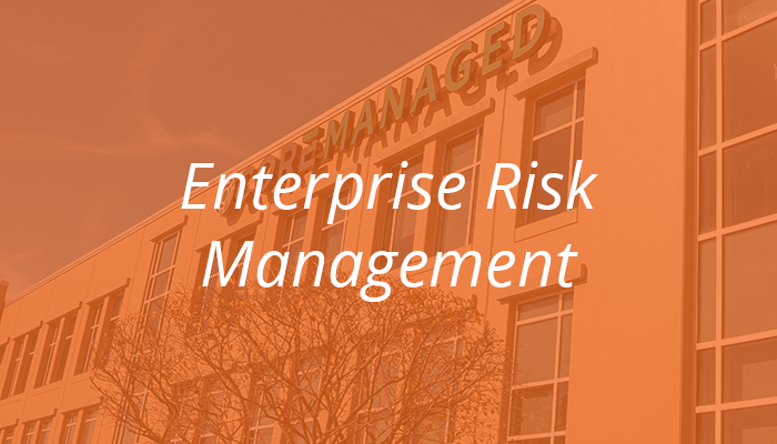 Enterprise Risk Management