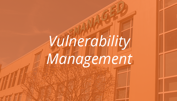 Vulnerability Management
