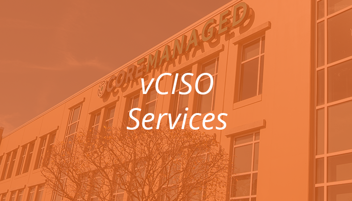 vCISO Services